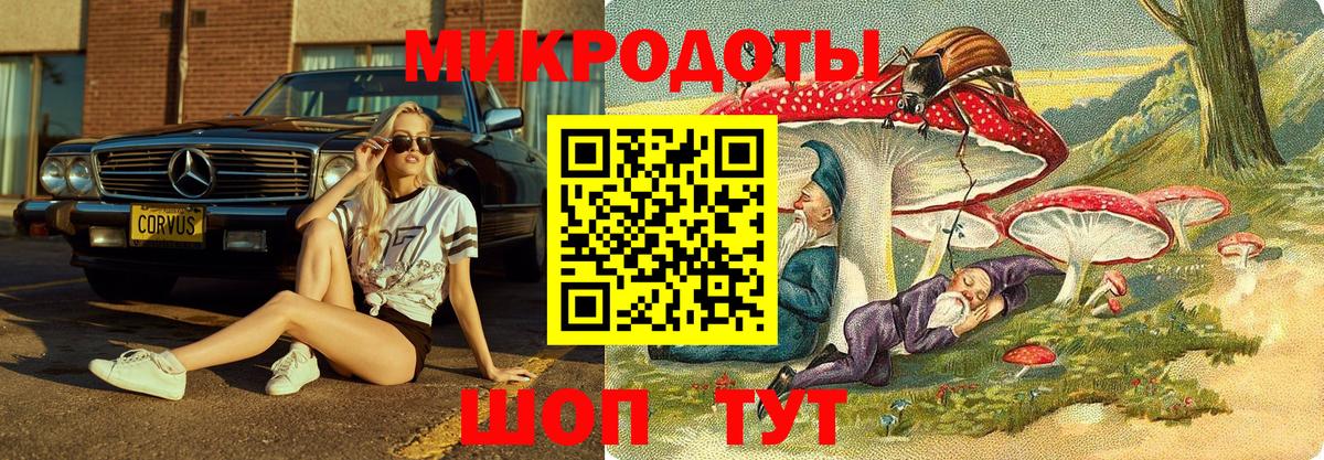 Псилоцибиновые грибы Cubensis  Вход с VPN  Богородск 
