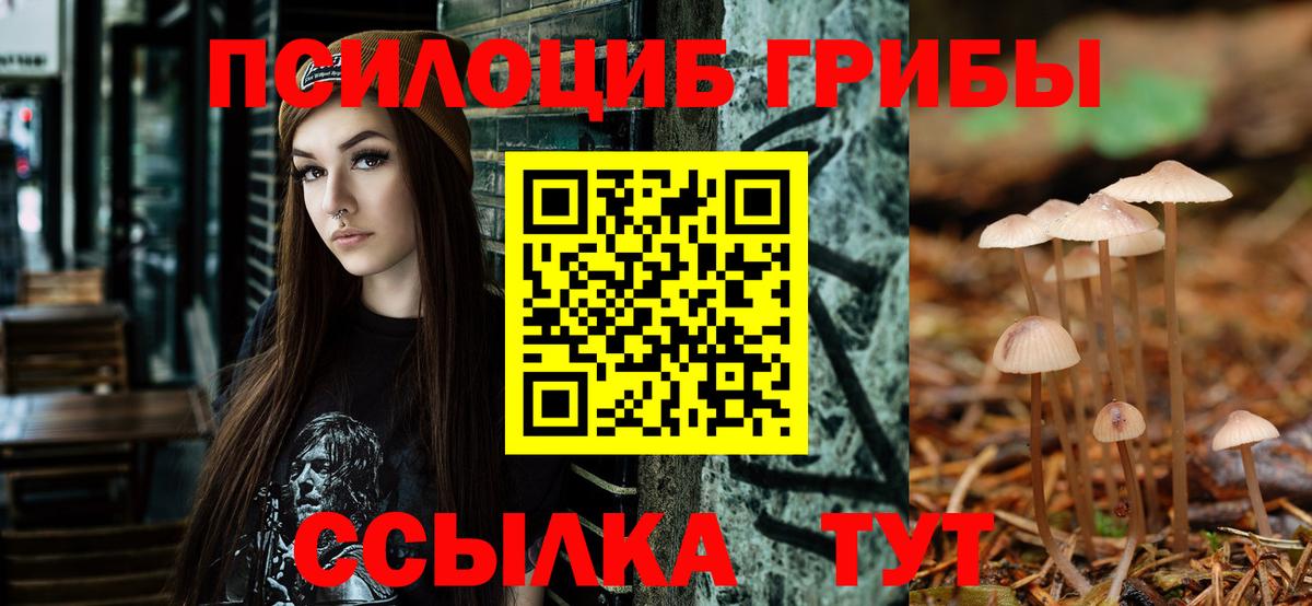 Псилоцибиновые грибы мухоморы Богородск